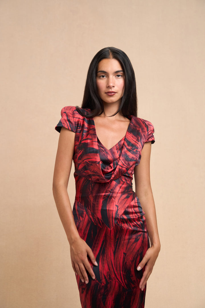 Alexander McQueen Red and Black Feather-Print Silk Bias-Cut Gown (2009)